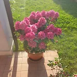 Da Riki Дом отдыха Пескьера-дель-Гарда