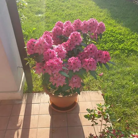 Da Riki Hébergement de vacances Peschiera del Garda